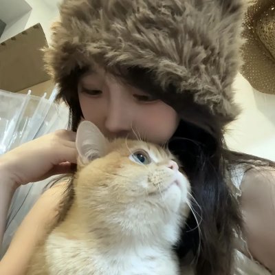 功夫梦：融合之道